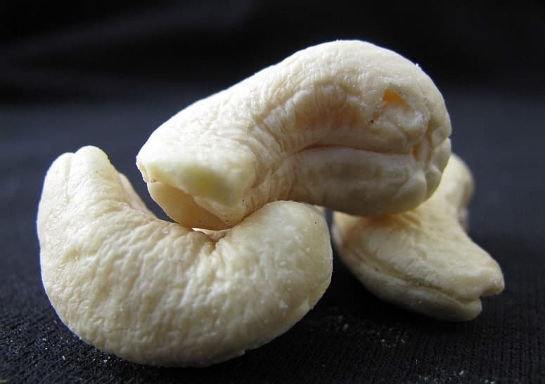 Cashew Nut Processing: The Complete Process
