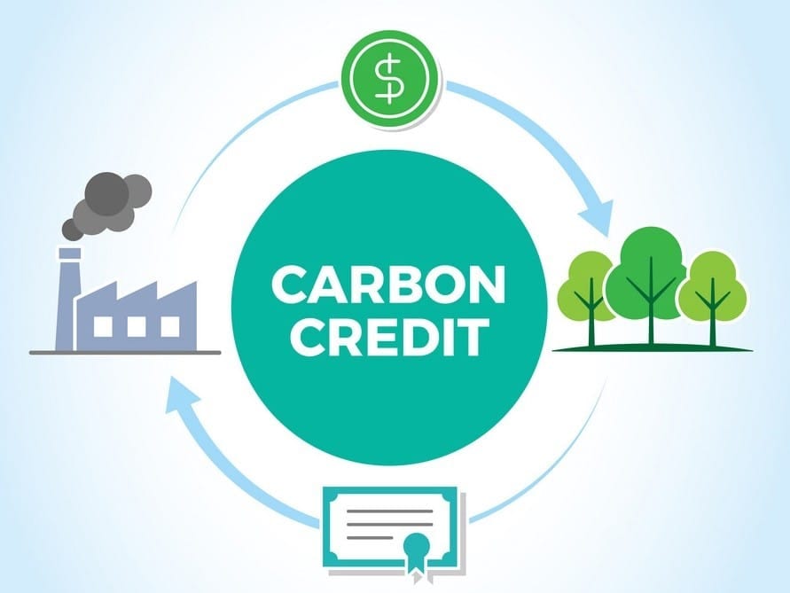 Carbon Credits in the Cashew Industry