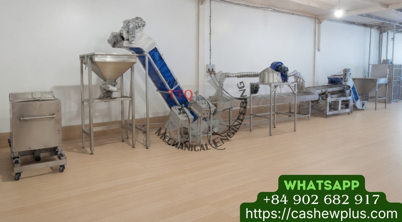 Automatic cashew nut vacuum packing line