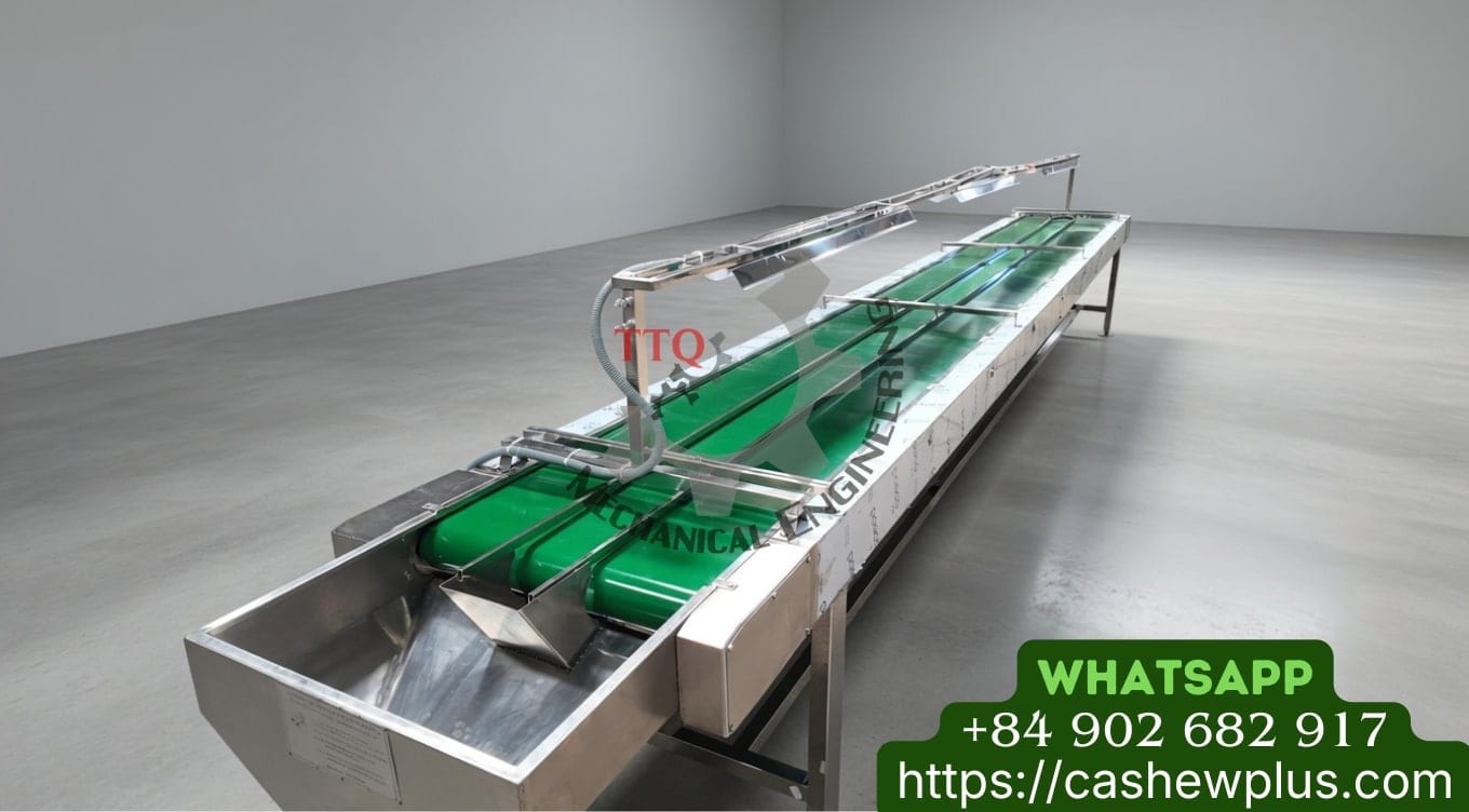 Cashew kernel re-peeling conveyor