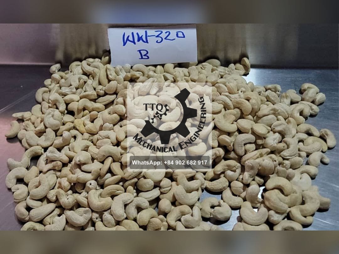 A carded sample of WW320 white whole cashew kernels
