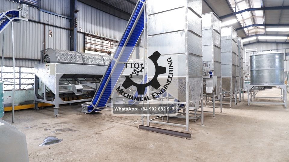 Graded raw cashew nuts conveyed from the grading machine into storage silos