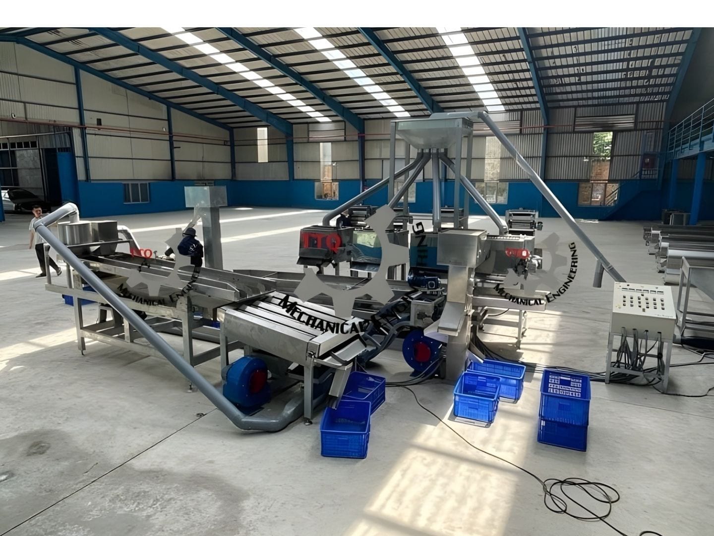 A TTQ automatic shelling line installed and running in a customer processing plant